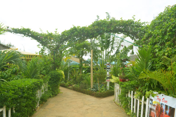 green garden with arcs
